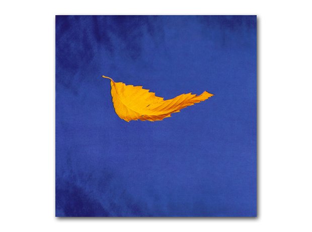 New Order - True Faith album cover