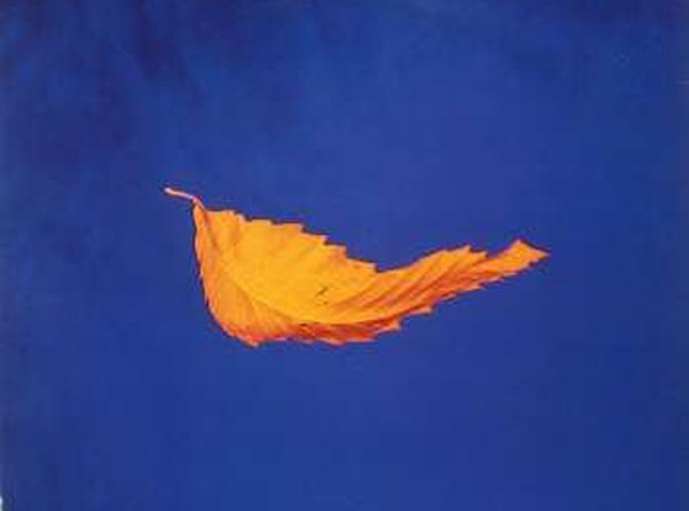 New Order