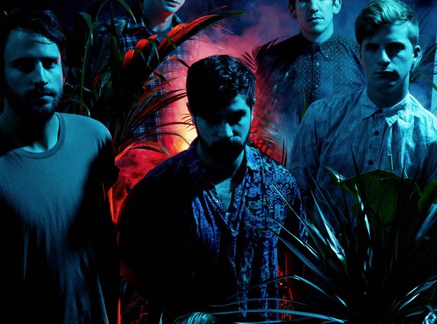 Foals