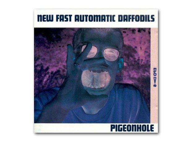 New Fast Automatic Daffodils - Pigeonhole