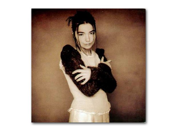 Bjork - Human Behaviour
