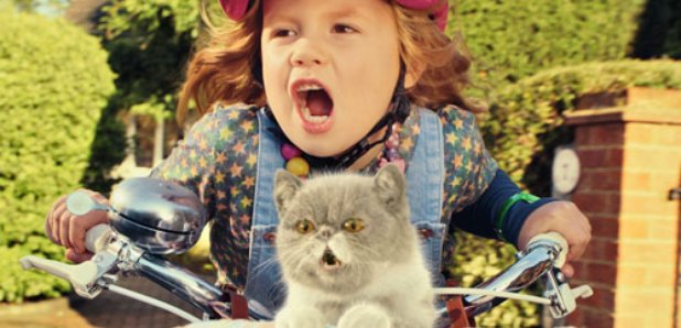 three, sing it kitty