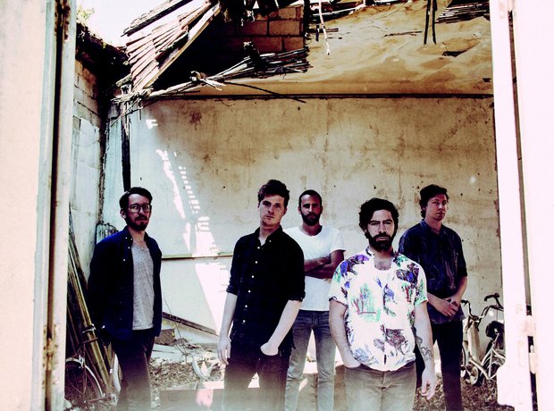 Foals