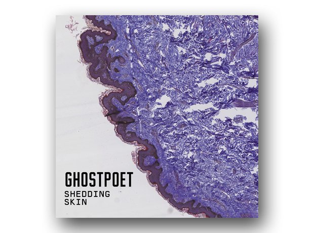 Ghostpoet - Shedding Skin