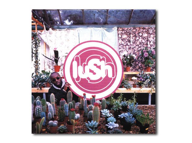 Lush Lovelife artwork