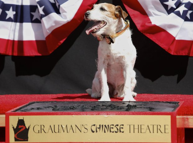 Uggie