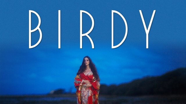 birdy album logo