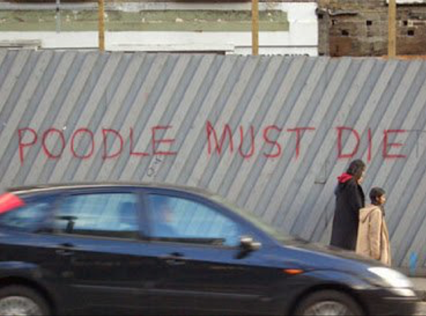 Random Graffiti