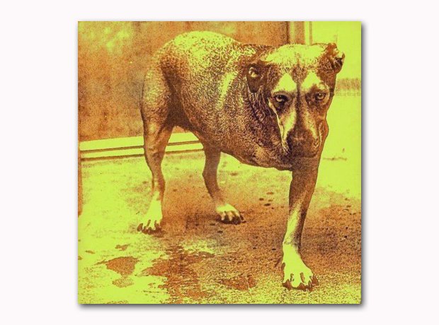 Alice In Chains - Alice In Chains