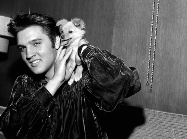 Elvis posing with dog in 1956