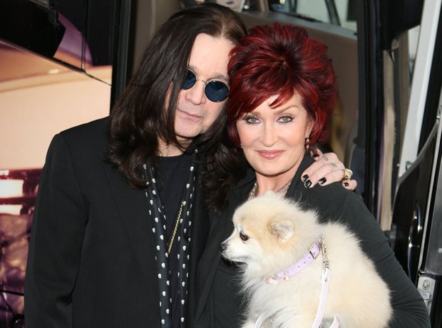 Rock Stars With Dogs