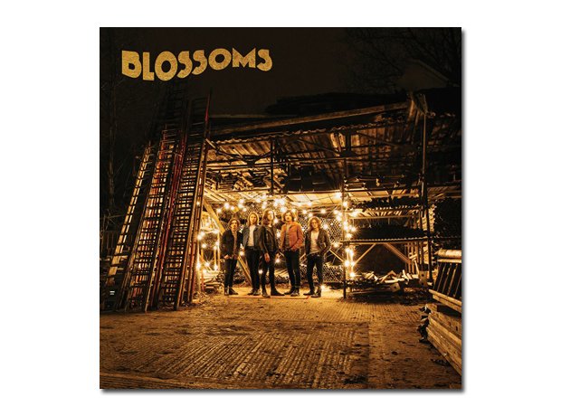 Blossoms - Blossoms
