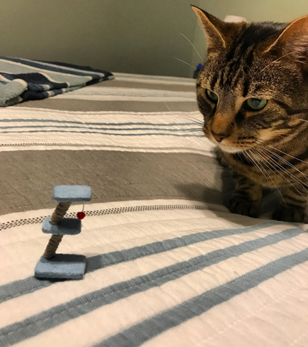 Mini cat scratching post Reddit picture