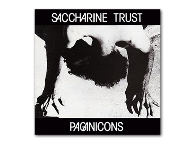 saccharine trust paganicons rare