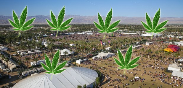 Coachella site 2015 with marijuana leaves 