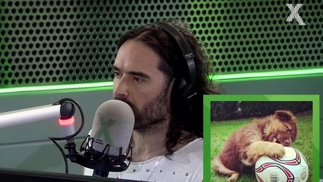 WATCH: Why Matt Morgan's Terrified Of Russell Brand's Dog ...