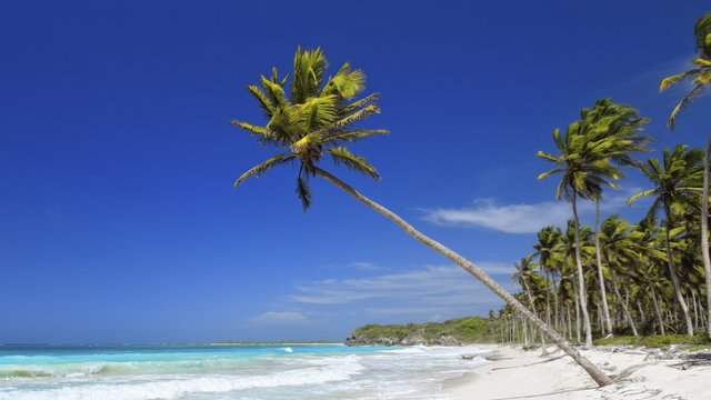 Bahamas beach stock image