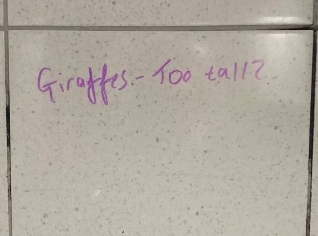 "Giraffes - Too Tall?"
