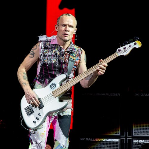 Flea Red hot Chili Peppers responds to retirement 