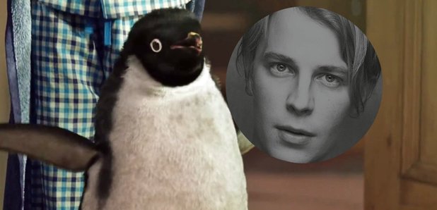 Tom Odell and the John Lewis penguin