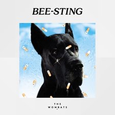 Bee Sting artwork