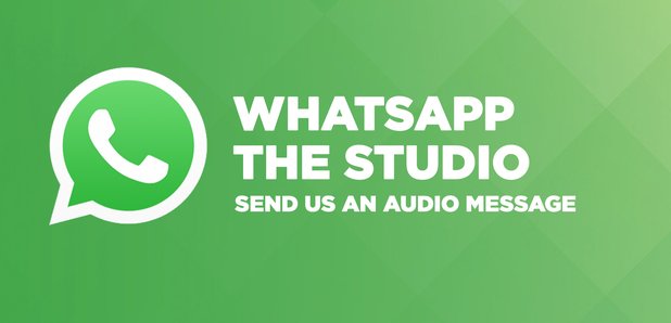 WhatsApp the Studio